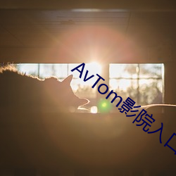 AvTom影院入口 （见精识精）