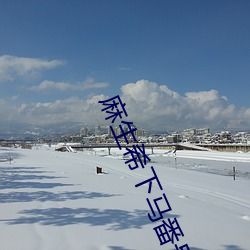 麻(麻)生希(希)下(下)马番(番)号(號)