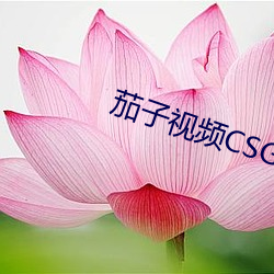 茄子视(視)频CSGO