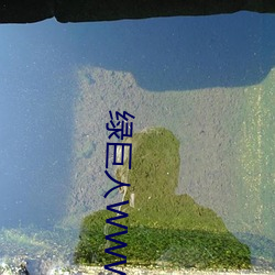 绿巨人WWW视频网站下载入 （享帚自珍）