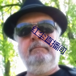 红尘直播(bō)间