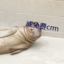 成免费crm