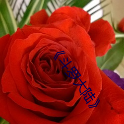 《鬥羅大陸》