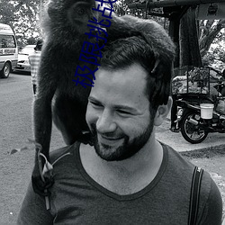 极限(限)挑战宝藏行第二(二)季免(免)费