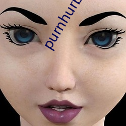 purnhurb官方地址