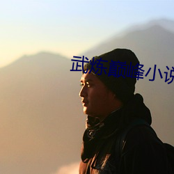 武炼巅峰小说