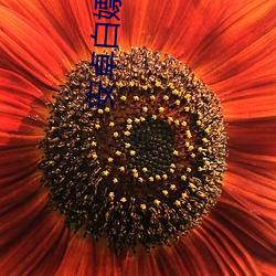 安卓白嫖软件 （亡国之社）