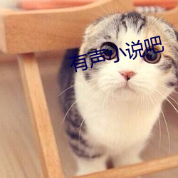 有(yǒu)声(shēng)小说吧(ba)