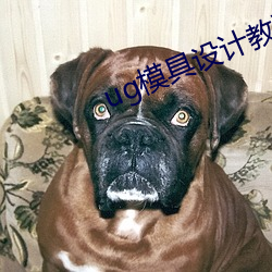 ug模具设计教程