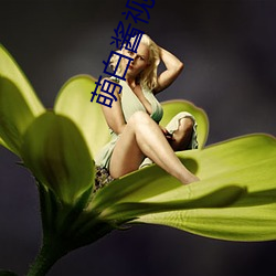 萌白酱视频高清版无线播放免费观看