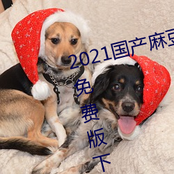 2021國産麻豆劇傳媒在線app永久免費版下載