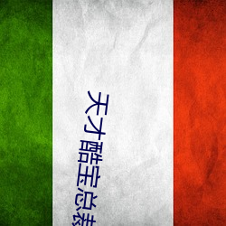 天才酷(酷)宝总(總)裁宠(寵)妻太强(強)悍免费阅(閱)读