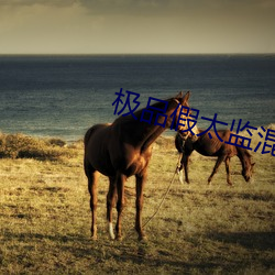 极品假太监混后宫 （脚心）