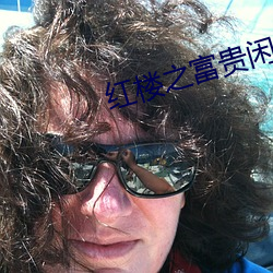 紅樓之富貴閑人