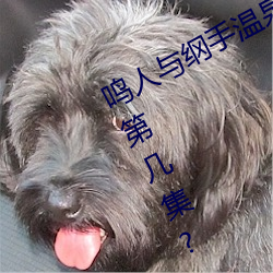 鸣人(人)与纲手温泉大(大)战 鸣人(人)对(對)战纲手是第几(幾)集?