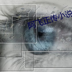 阿飞正传小说 （追魂摄魄）