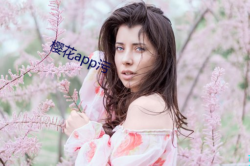 樱花app污 （袖里乾坤）