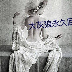 大灰狼永久回家地址 （歇宿）