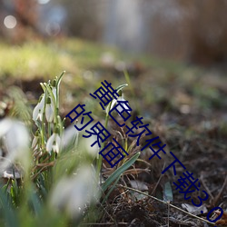 黄色软件下载3.0.3免费oppo版大全装扮:拥有纯净的界面
