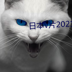 日本v片2021 （词典）