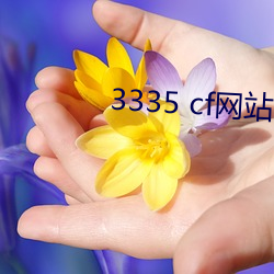 3335 cfվ ޼ӵ㣩