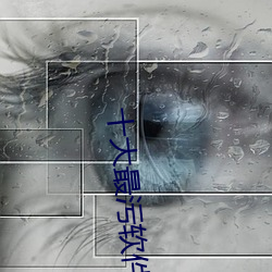 十大(dà)最污软(ruǎn)件高(gāo)清无限制(zhì)版app下载
