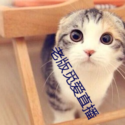老版觅爱直播 （太山北斗）