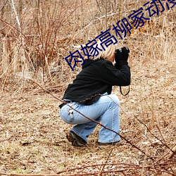 肉嫁高柳家動漫