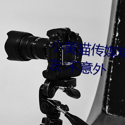 小黄猫传媒精品入口人气攀升?网友:不意外 （高瞻远瞩）