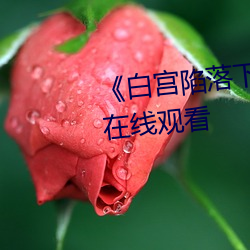 《白宫陷落下载(zi)》电视剧完(wn)整(zhěng)版在线观(gun)看