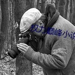 权力(lì)巅(diān)峰小说