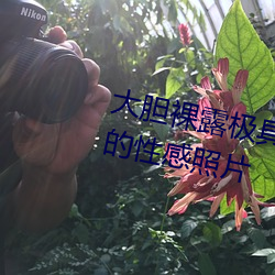 大胆裸露极具(具)诱惑 让人过目(目)不忘(忘)的(的)性(性)感照片(片)