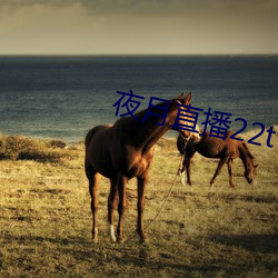 夜月直播22tv