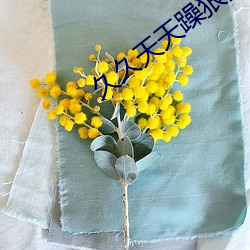 久久天天躁狠狠躁夜夜2O2O （刚毛）