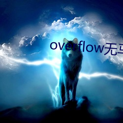 overflow无马赛版 （舍生取义）