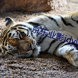 京东业(yè)影(yǐng)jdyy1me