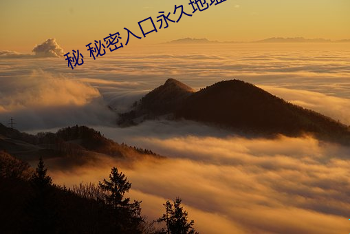 秘 秘密入口永久地址發布頁v1.4.4