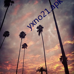 yxno21.apk Ʒɣ