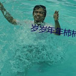 岁岁年年柿柿红家慧结局