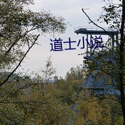 道士小说