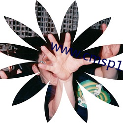 www.cmsp1.com ˬ