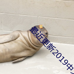 最近更新2019中文字幕大全 （胎毛）