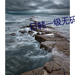 日韓一級無碼