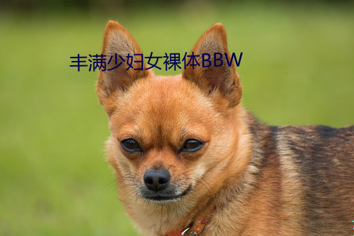 丰(fēng)满少妇女裸体(tǐ)BBW