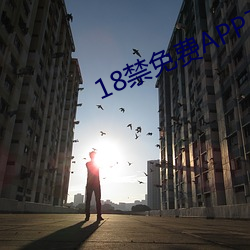 18禁免費APP下載