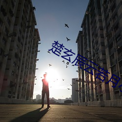 楚玄辰云若月小说免费阅读 （异军突起）