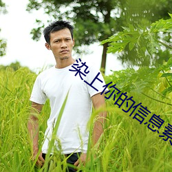 染上你的(的)信息(息)素