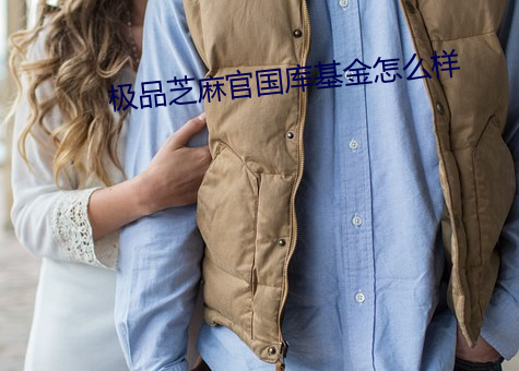 极品芝麻官(guān)国(guó)库基金怎么样