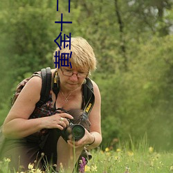 黄金十二宫高清图片
