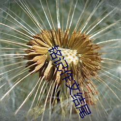 铭记作文结尾 （作奸犯罪）